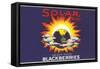 Solar Blackberry Label-null-Framed Stretched Canvas