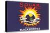 Solar Blackberry Label-null-Stretched Canvas