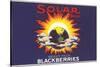 Solar Blackberry Label-null-Stretched Canvas