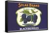 Solar Blackberry Label-null-Framed Stretched Canvas