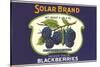 Solar Blackberry Label-null-Stretched Canvas