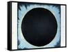 Solar Corona and Prominences 1860-null-Framed Stretched Canvas