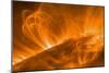 Solar Coronal Loops-null-Mounted Premium Photographic Print