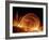 Solar Coronal Loops-null-Framed Photographic Print