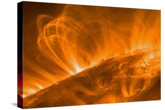 Stretched Canvas Print, , large