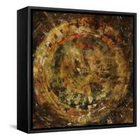 Solar Disc II-Jodi Maas-Framed Stretched Canvas