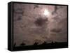 Solar Eclipse, August Lambourn 1999-null-Framed Stretched Canvas