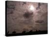 Solar Eclipse, August Lambourn 1999-null-Stretched Canvas