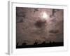 Solar Eclipse, August Lambourn 1999-null-Framed Photographic Print