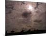 Solar Eclipse, August Lambourn 1999-null-Mounted Photographic Print