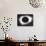 Solar Eclipse with outer Corona-Science Source-Framed Stretched Canvas displayed on a wall