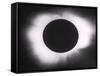 Solar Eclipse with outer Corona-Science Source-Framed Stretched Canvas