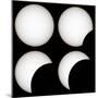 Solar Eclipse-Laurent Laveder-Mounted Premium Photographic Print