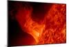 Solar Eruption NASA-null-Mounted Poster