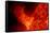 Solar Eruption NASA-null-Framed Stretched Canvas