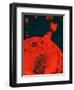 Solar Eruption-null-Framed Giclee Print