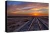 Solar Express I-Mark Geistweite-Stretched Canvas