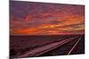 Solar Express II-Mark Geistweite-Mounted Photographic Print