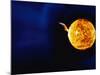 Solar Flare-Stocktrek Images-Mounted Photographic Print