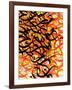 Solar Flare-Sydney Edmunds-Framed Giclee Print