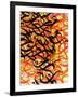 Solar Flare-Sydney Edmunds-Framed Giclee Print