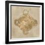 Solar Medallion II-Vanna Lam-Framed Art Print