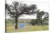 Solar Panel for Powering Water Pump at Waterhole-Alan J. S. Weaving-Stretched Canvas
