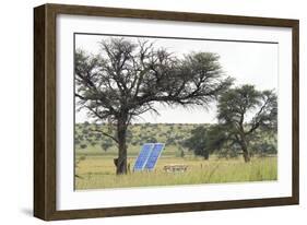 Solar Panel for Powering Water Pump at Waterhole-Alan J. S. Weaving-Framed Photographic Print