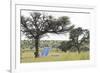 Solar Panel for Powering Water Pump at Waterhole-Alan J. S. Weaving-Framed Photographic Print