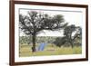 Solar Panel for Powering Water Pump at Waterhole-Alan J. S. Weaving-Framed Photographic Print