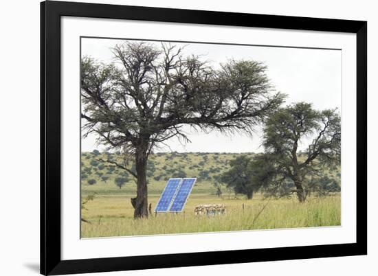 Solar Panel for Powering Water Pump at Waterhole-Alan J. S. Weaving-Framed Photographic Print