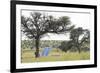 Solar Panel for Powering Water Pump at Waterhole-Alan J. S. Weaving-Framed Photographic Print