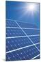 Solar Panels In the Sun-Detlev Van Ravenswaay-Mounted Premium Photographic Print