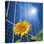 Solar Power, Conceptual Artwork-Detlev Van Ravenswaay-Stretched Canvas