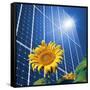 Solar Power, Conceptual Artwork-Detlev Van Ravenswaay-Framed Stretched Canvas