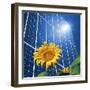 Solar Power, Conceptual Artwork-Detlev Van Ravenswaay-Framed Premium Photographic Print