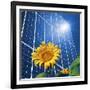 Solar Power, Conceptual Artwork-Detlev Van Ravenswaay-Framed Photographic Print