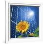 Solar Power, Conceptual Artwork-Detlev Van Ravenswaay-Framed Photographic Print