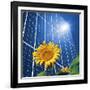 Solar Power, Conceptual Artwork-Detlev Van Ravenswaay-Framed Photographic Print