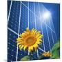 Solar Power, Conceptual Artwork-Detlev Van Ravenswaay-Mounted Photographic Print