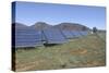 Solar Power Plant-null-Stretched Canvas