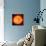 Solar Prominence, SOHO Image-null-Mounted Premium Photographic Print displayed on a wall