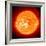 Solar Prominence, SOHO Image-null-Framed Premium Photographic Print