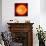 Solar Prominence, SOHO Image-null-Photographic Print displayed on a wall