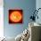 Solar Prominence, SOHO Image-null-Framed Photographic Print displayed on a wall