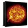 Solar Prominence-null-Framed Stretched Canvas