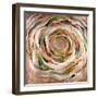 Solar Ring-Rikki Drotar-Framed Giclee Print