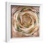 Solar Ring-Rikki Drotar-Framed Giclee Print