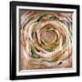 Solar Ring-Rikki Drotar-Framed Giclee Print