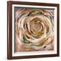 Solar Ring-Rikki Drotar-Framed Giclee Print